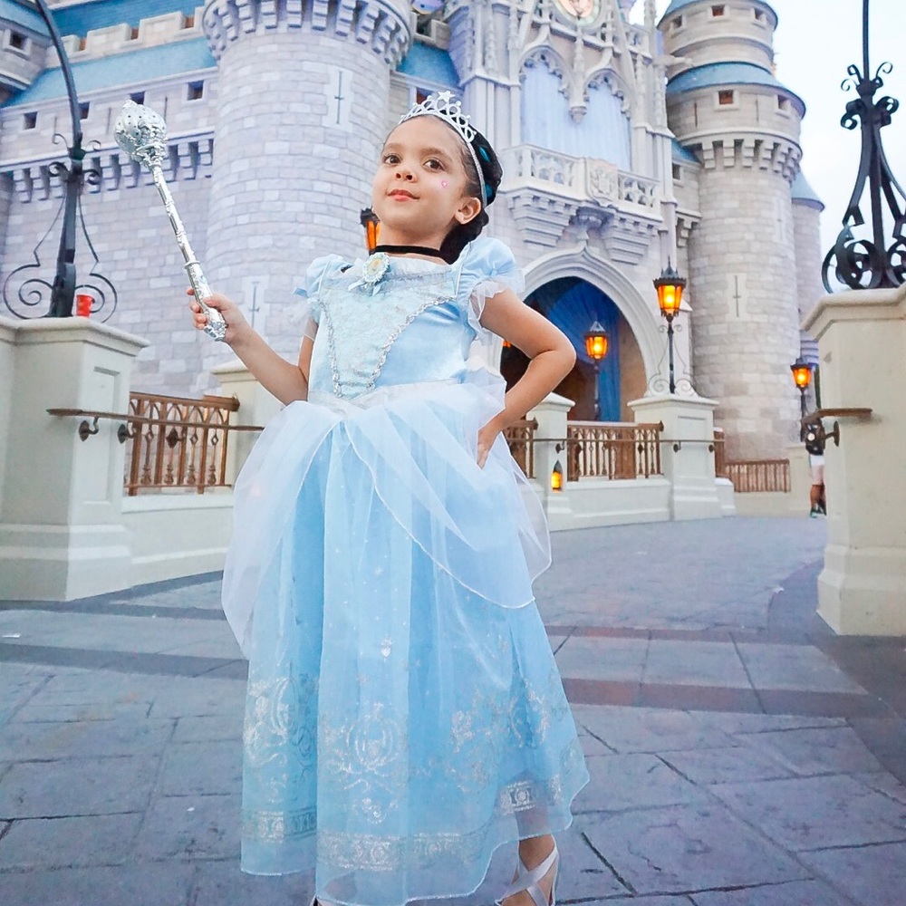 Disney Cinderella princess dress